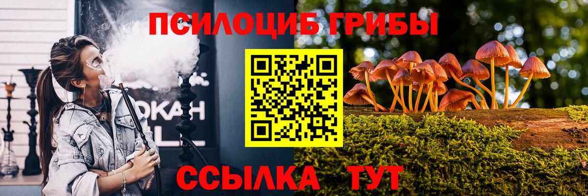 Псилоцибиновые грибы прущие грибы  Вход с VPN  Владимир 
