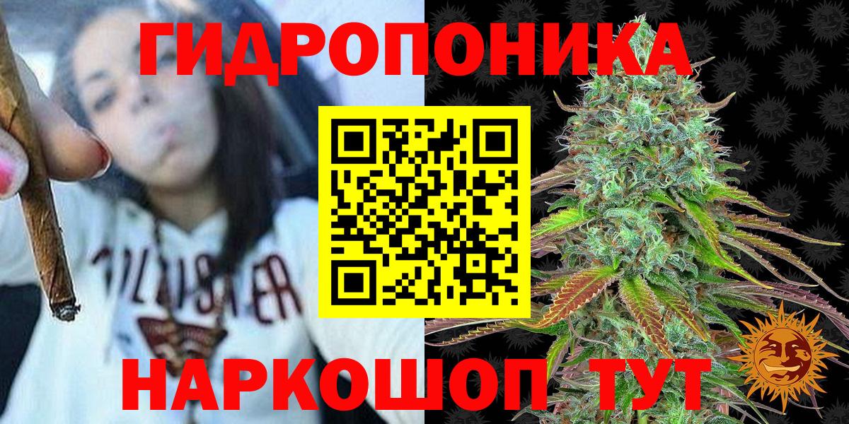 Канабис гибрид  Вход с VPN  Конопля MAZAR  Владимир  Каннабис семена  Бошки Шишки марихуана 